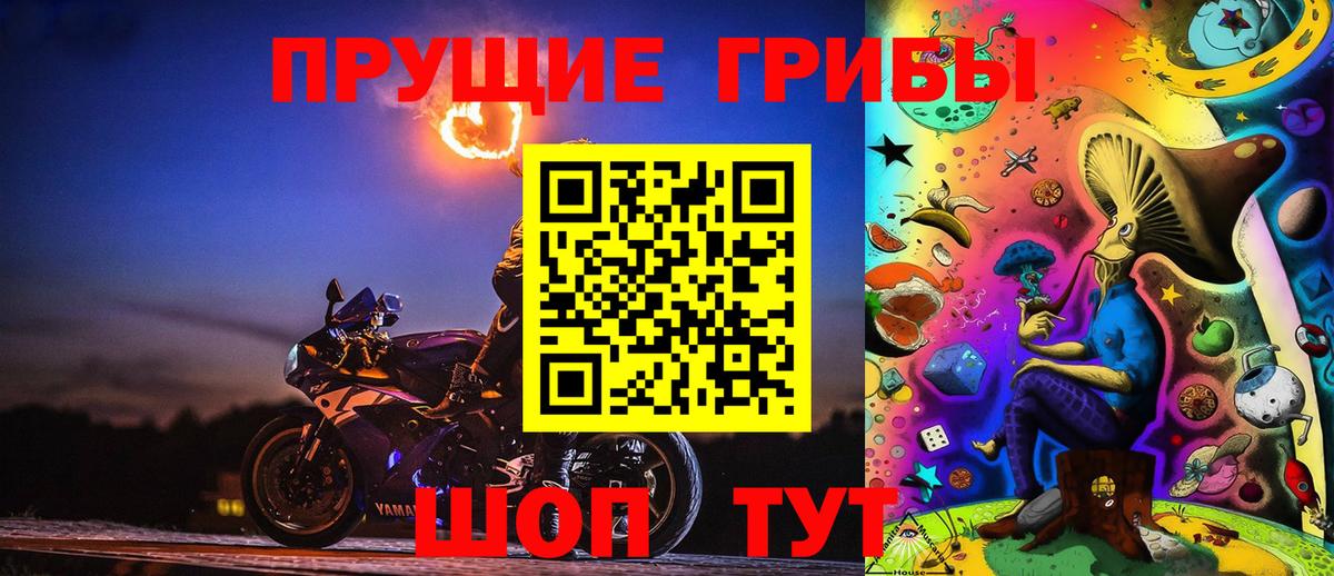 Псилоцибиновые грибы прущие грибы Нижнеудинск