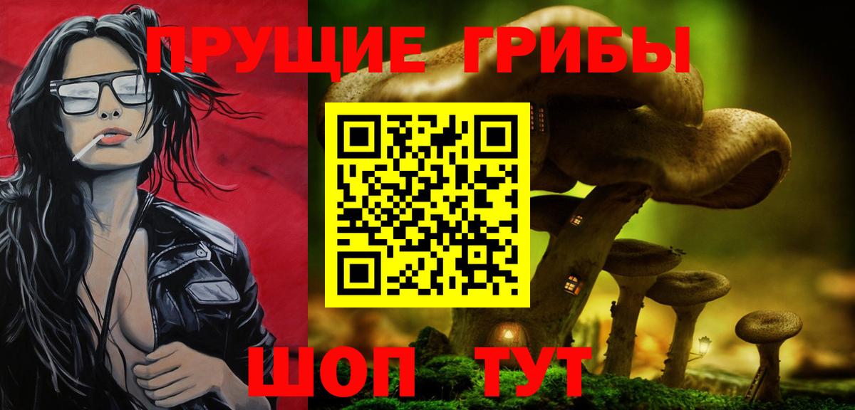 Нижнеудинск  Галлюциногенные грибы Psilocybine cubensis  Вход с VPN  купить закладку  Псилоцибиновые грибы GOLDEN TEACHER 